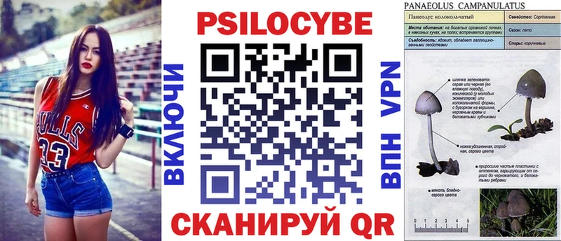 Псилоцибиновые грибы мицелий Сосновка